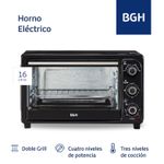 bgh2